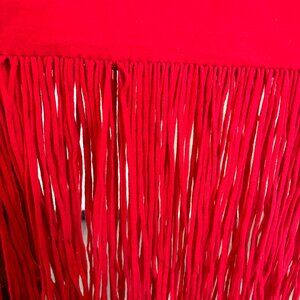 Red sweater skirt with fringe, Ann Taylor, this Season, Size L